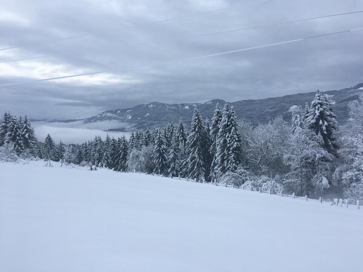 Naturgut Gailtal Sankt Stefan an der Gail Eksteriør billede